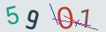 verifycode